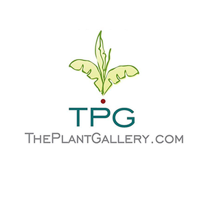 TPG logo