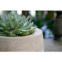 Load image into Gallery viewer, Moon Pot