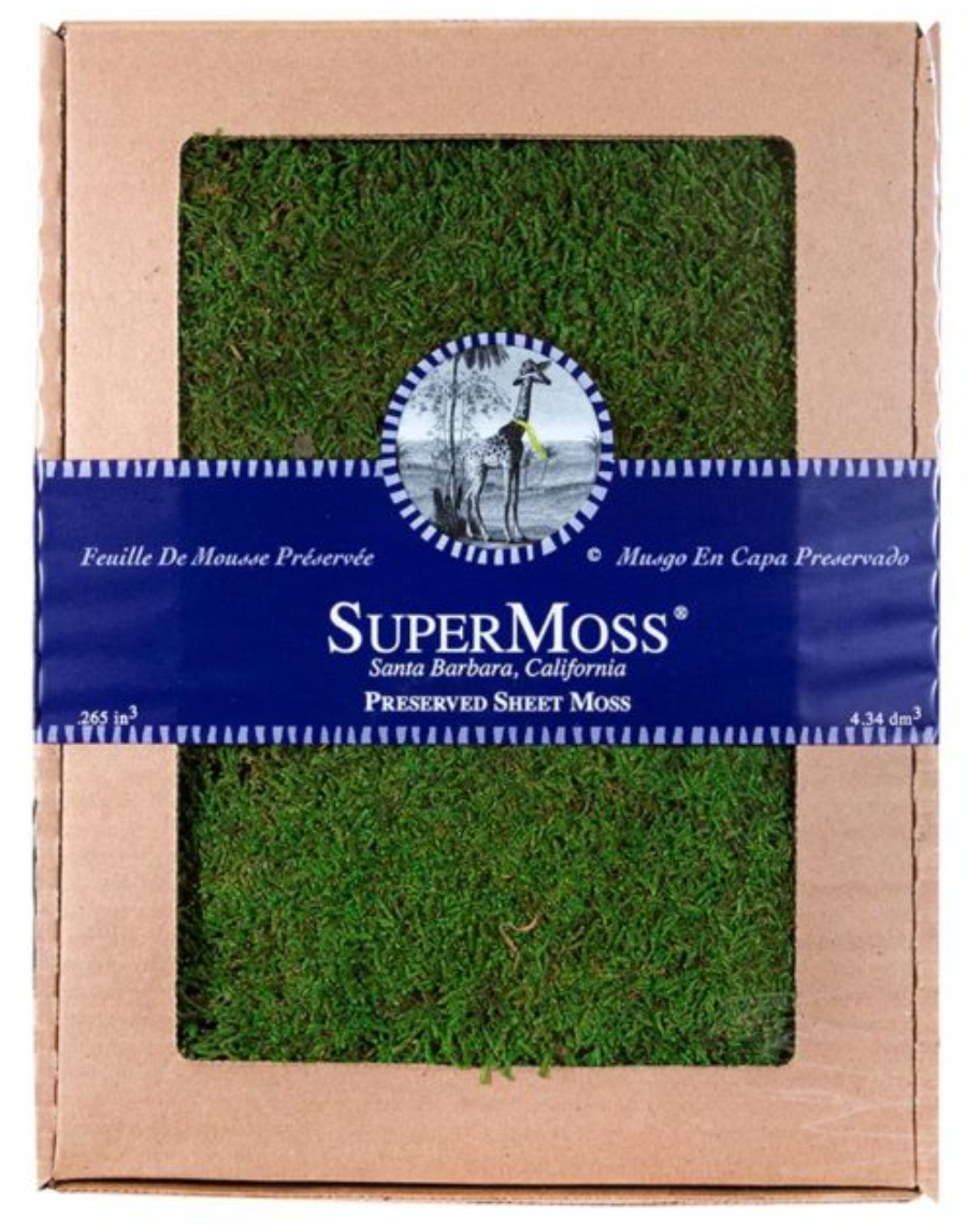 Preserved Moss