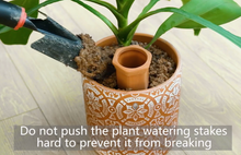 Load image into Gallery viewer, Plant Watering Stakes
