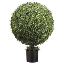 Load image into Gallery viewer, Boxwood Topiary
