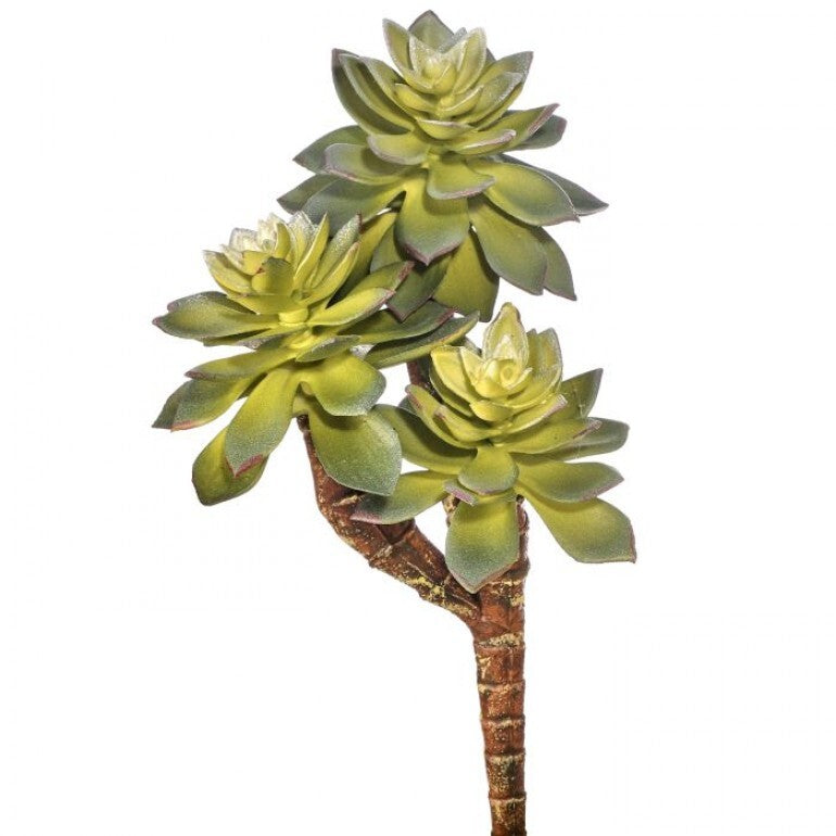 Star Succulent Pick 7”