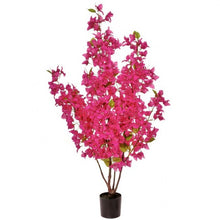 Load image into Gallery viewer, Bougainvillea Tree 4.5’
