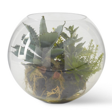Load image into Gallery viewer, Glass Succulent Premade Terrarium

