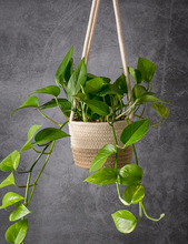 Load image into Gallery viewer, SoftWeave Hanging Planters 6&quot;

