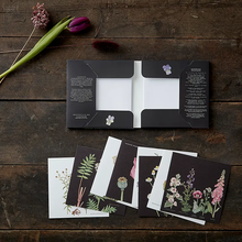 Load image into Gallery viewer, Cardfolder W/ Envelopes

