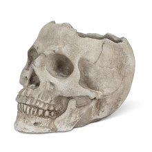 Load image into Gallery viewer, Lg Skull Planter 5”H
