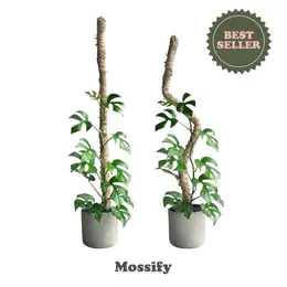 Original Bendable Moss Pole - Climbing Plants