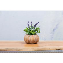 Load image into Gallery viewer, Sm Low Pumpkin Planter 5.5”W
