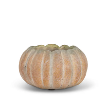 Load image into Gallery viewer, Sm Low Pumpkin Planter 5.5”W
