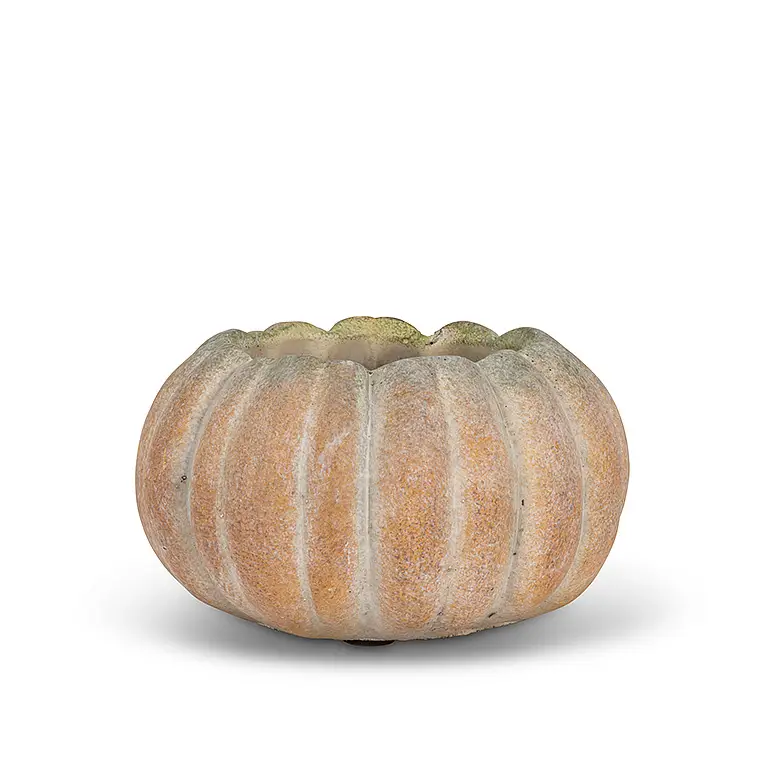 Sm Low Pumpkin Planter 5.5”W