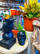 Load image into Gallery viewer, Skull Planter
