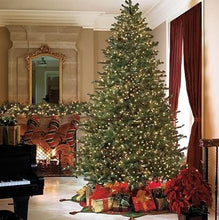 Load image into Gallery viewer, Christmas Tree Frasier Fir Lights
