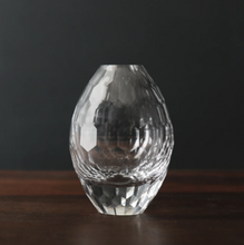 Load image into Gallery viewer, Faceted Glass Bud Vases
