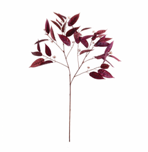 Load image into Gallery viewer, Eucalyptus Branch
