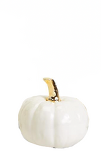 Load image into Gallery viewer, Gourdges White Pumpkins
