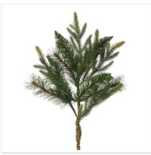 Load image into Gallery viewer, Colorado Mixed Pine Collection
