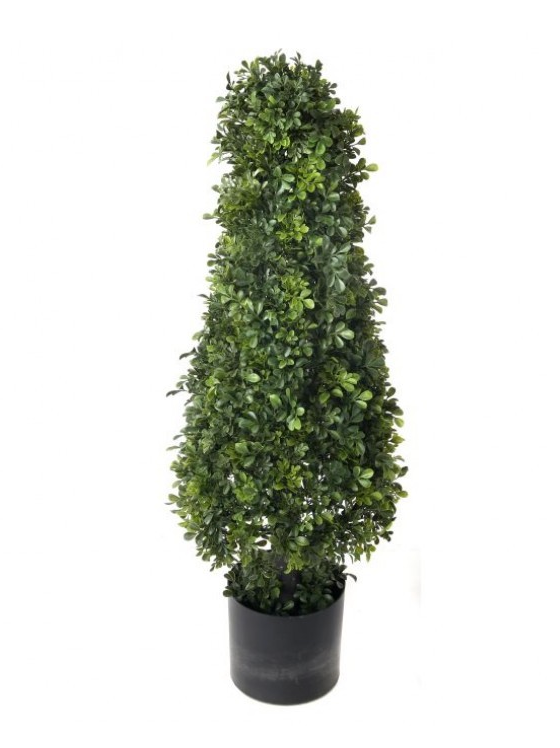 English Boxwood Cone Topiary
