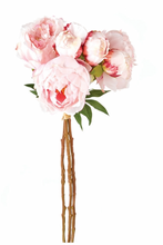 Load image into Gallery viewer, Peony 21&quot;, Cream/Light Pink
