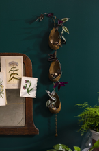 Load image into Gallery viewer, Ramble Tillandsia Holder
