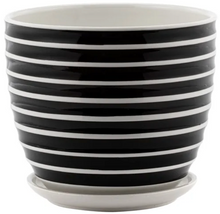 Load image into Gallery viewer, Striped Pot W/ Saucer
