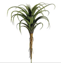 Load image into Gallery viewer, Tillandsia Pick
