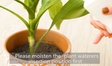 Load image into Gallery viewer, Plant Watering Stakes
