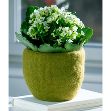 Load image into Gallery viewer, Cozy Felt Planters
