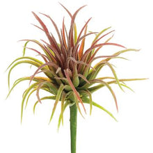 Load image into Gallery viewer, Tillandsia Pick
