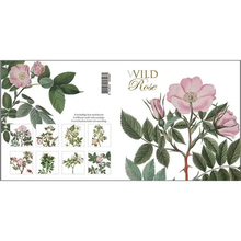 Load image into Gallery viewer, Cardfolder W/ Envelopes
