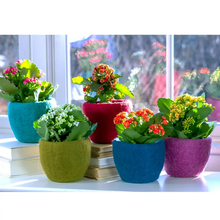 Load image into Gallery viewer, Cozy Felt Planters

