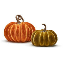 Load image into Gallery viewer, Grand Dame Oversized Pumpkins
