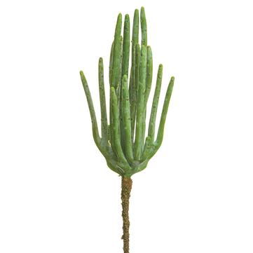 Cactus Pick