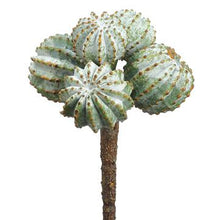 Load image into Gallery viewer, Cactus Pick
