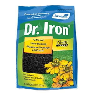 Dr. Iron