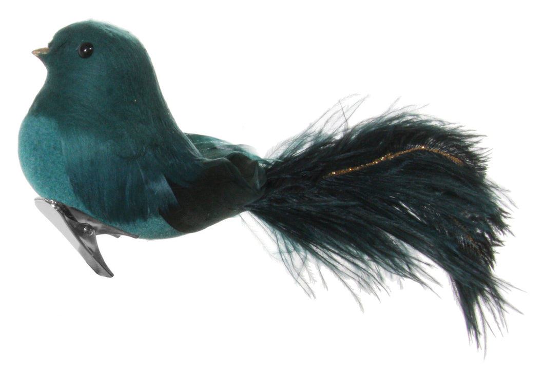 Feather Bird W/ Ostrich Tail