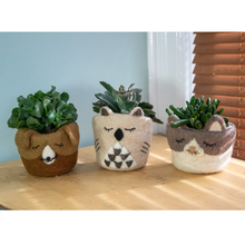 Load image into Gallery viewer, Animal Felt Planters
